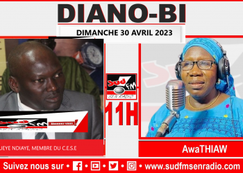 DIANO BI DU 30 AVRIL 2023 AVEC MAGUEYE NDIAY, MEMBRE DU CONSEIL ÉCONOMIQUE SOCIAL ET ENVIRONNEMENTAL