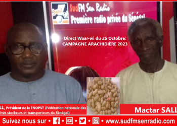 WAAR-WI DU 25 OCTOBRE 2023 SUR LA CAMPAGNE ARACHIDIÈRE AVEC MODOU FALL, PRÉSIDENT DE LA FNOPST (Fédération Nationale des Opérateurs Privés Stockeurs et Transporteurs du Sénégal)