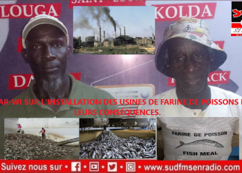 SUD FM DIRECT WAAR-WI SUR L&rsquo;INSTALLATION DES USINES DE FARINE DE POISSONS ET LEURS CONSÉQUENCES.