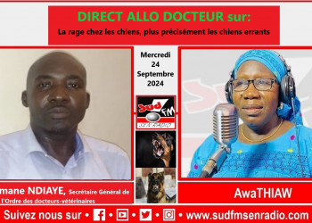 SUD FM DIRECT ALLO DOCTEUR SUR LA RAGE CHEZ LES CHIENS, PLUS PRÉCISÉMENT LES CHIENS ERRANTS.