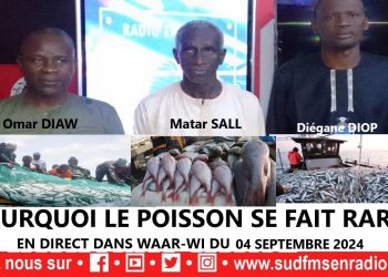 DIRECT SUD FM WAAR-WI DU 04 SEPTEMBRE 2024 SUR LE POISSON QUI SE FAIT RARE.