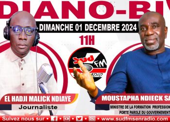 DIANO BI DU 1er DÉCEMBRE 2024 AVEC MOUSTAPHA SARRÉ, MINISTRE DE LA FORMATION PROFESSIONNELLE ET PORTE-PAROLE DU GOUVERNEMENT.
