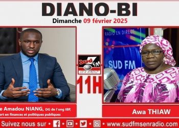DIANO DI DU 09 FÉVRIER 25 MALEINE AMADOU NIANG, EXPERT EN FINANCES ET POLITIQUES PUBLIQUES.