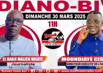 DIANO BI DU 30 MARS 2025 AVEC MOUNDIAYE CISSE DIRECTEUR EXÉCUTIF DE L&rsquo;ONG 3D.