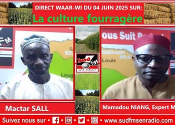 DIRECT WAAR-WI DU 04 JUIN 2025 SUR LA CULTURE FOURAGERE AU SENEGAL.